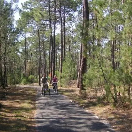 T2 Mezzanine Avec Piscine Et Animaux Acceptés - Fr-1-379-119 * Soustons