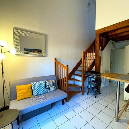 アパート T2 Mezzanine Avec Terrasse Et Animaux Acceptes - Fr-1-379-119 *