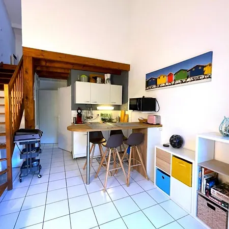 Lejlighed T2 Mezzanine Avec Terrasse Et Animaux Acceptes - Fr-1-379-119