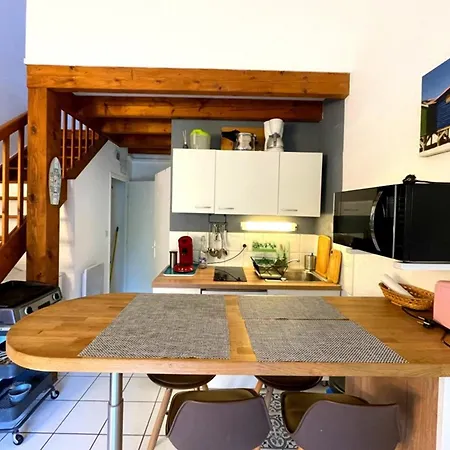 T2 Mezzanine Avec Terrasse Et Animaux Acceptes - Fr-1-379-119 Lejlighed *